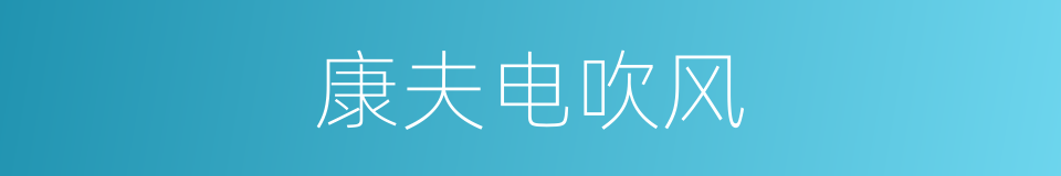康夫电吹风的同义词