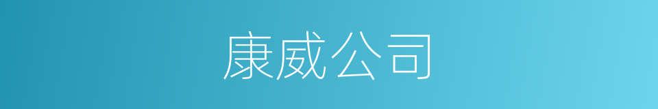 康威公司的同义词