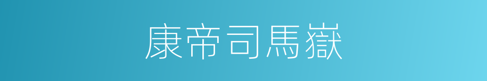 康帝司馬嶽的同義詞