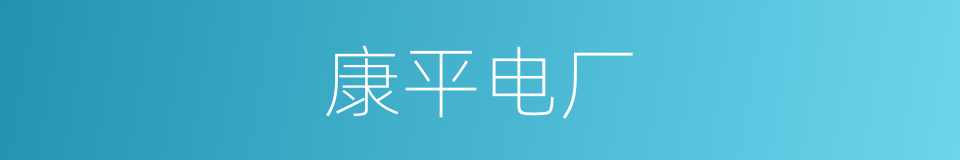康平电厂的同义词