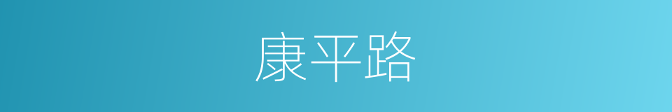 康平路的同义词