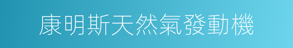 康明斯天然氣發動機的同義詞