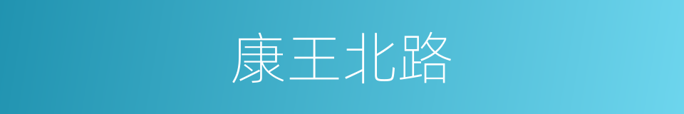 康王北路的同义词