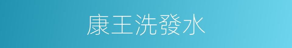 康王洗發水的同義詞
