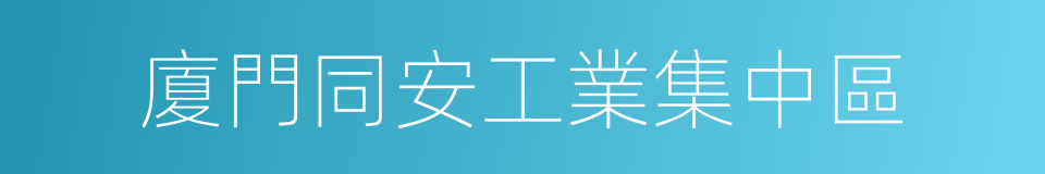 廈門同安工業集中區的同義詞