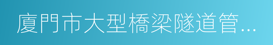 廈門市大型橋梁隧道管理辦法的同義詞