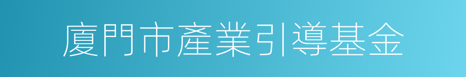 廈門市產業引導基金的同義詞