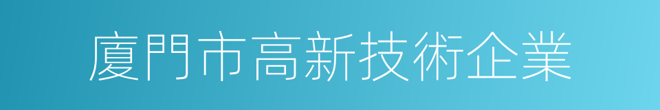 廈門市高新技術企業的同義詞