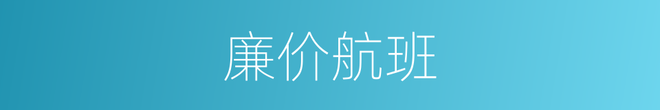 廉价航班的同义词