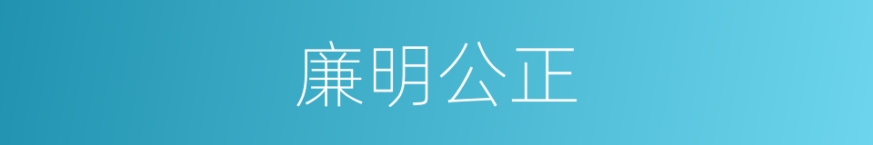 廉明公正的意思