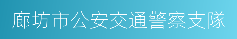 廊坊市公安交通警察支隊的同義詞