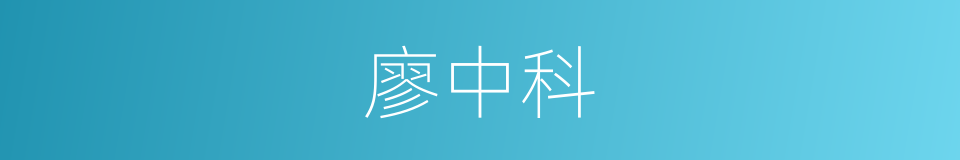 廖中科的同义词
