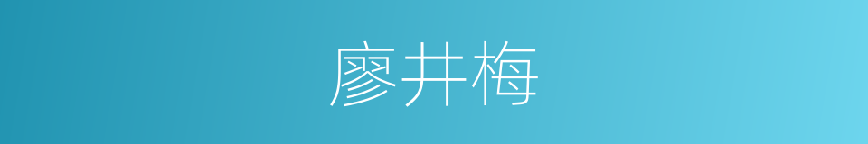 廖井梅的同义词