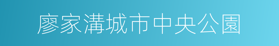 廖家溝城市中央公園的同義詞