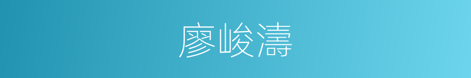 廖峻濤的同義詞