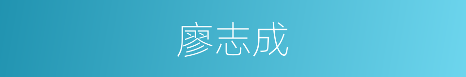 廖志成的同义词