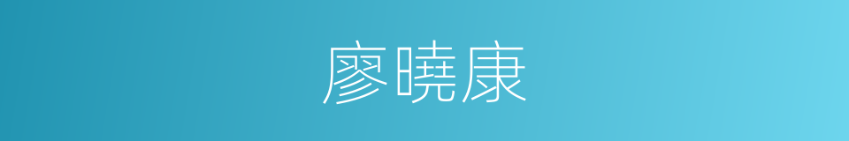 廖曉康的同義詞