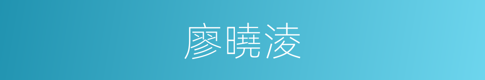 廖曉淩的同義詞