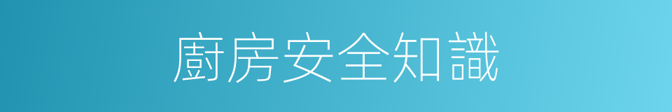 廚房安全知識的同義詞