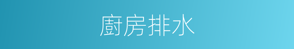 廚房排水的同義詞