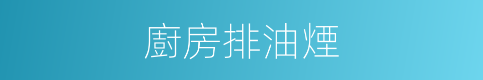 廚房排油煙的同義詞