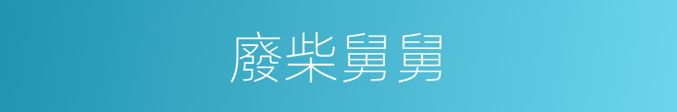 廢柴舅舅的同義詞