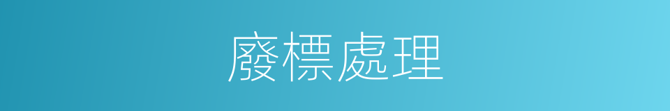 廢標處理的同義詞