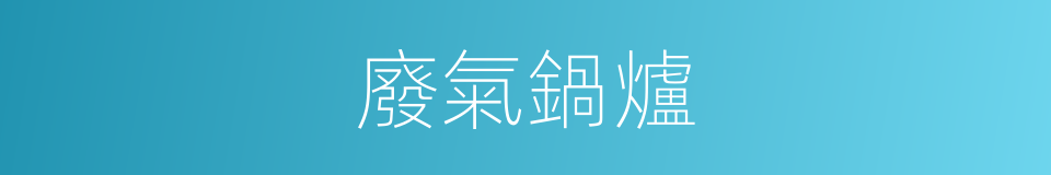 廢氣鍋爐的同義詞