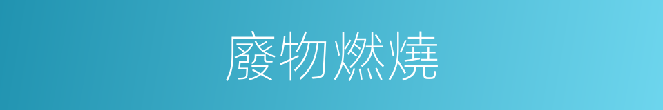 廢物燃燒的同義詞