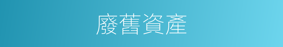 廢舊資產的同義詞