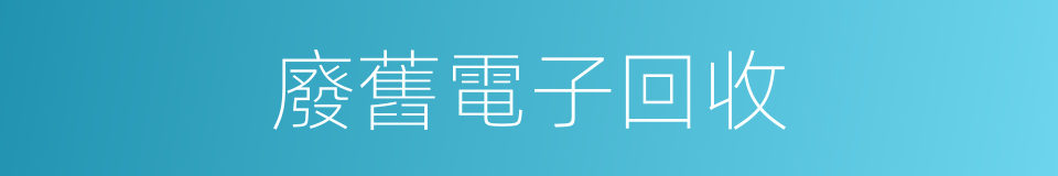 廢舊電子回收的同義詞