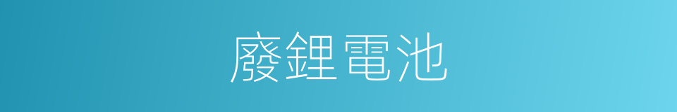 廢鋰電池的同義詞