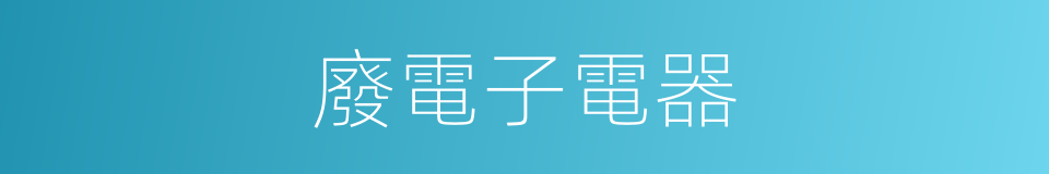 廢電子電器的同義詞