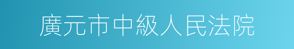 廣元市中級人民法院的同義詞