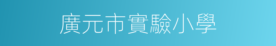 廣元市實驗小學的同義詞