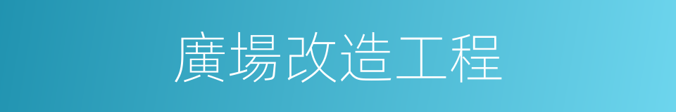 廣場改造工程的同義詞