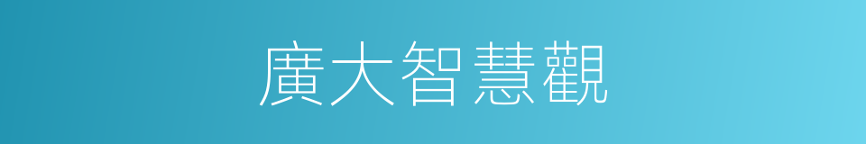 廣大智慧觀的同義詞