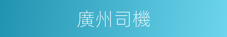 廣州司機的同義詞
