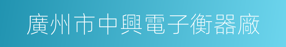 廣州市中興電子衡器廠的同義詞