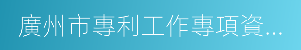 廣州市專利工作專項資金管理辦法的同義詞