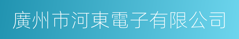 廣州市河東電子有限公司的同義詞