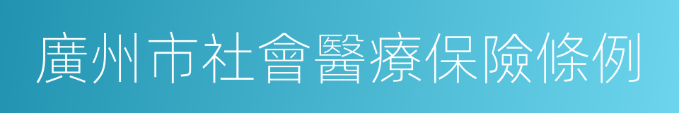 廣州市社會醫療保險條例的同義詞