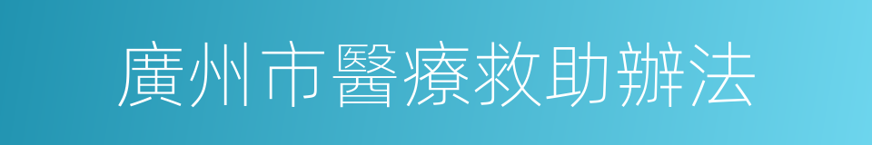 廣州市醫療救助辦法的同義詞