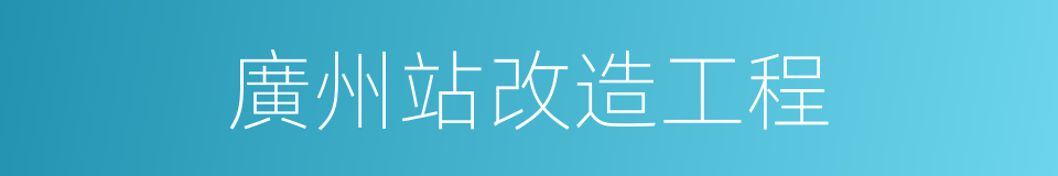 廣州站改造工程的同義詞