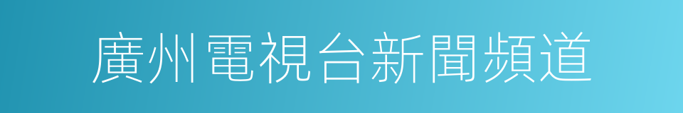 廣州電視台新聞頻道的同義詞