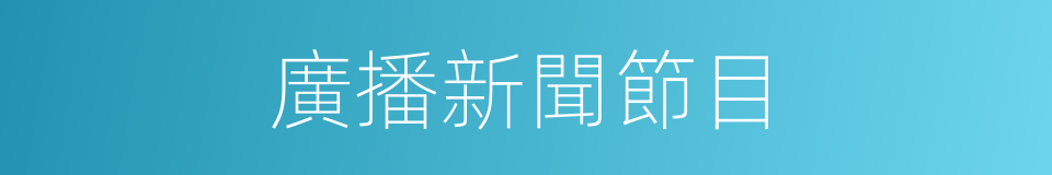 廣播新聞節目的同義詞