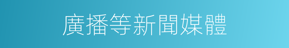 廣播等新聞媒體的同義詞