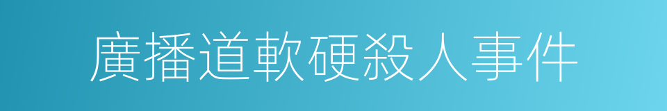 廣播道軟硬殺人事件的同義詞