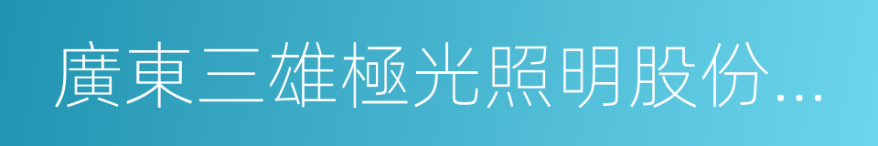 廣東三雄極光照明股份有限公司的同義詞