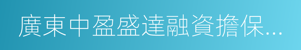 廣東中盈盛達融資擔保投資股份有限公司的同義詞